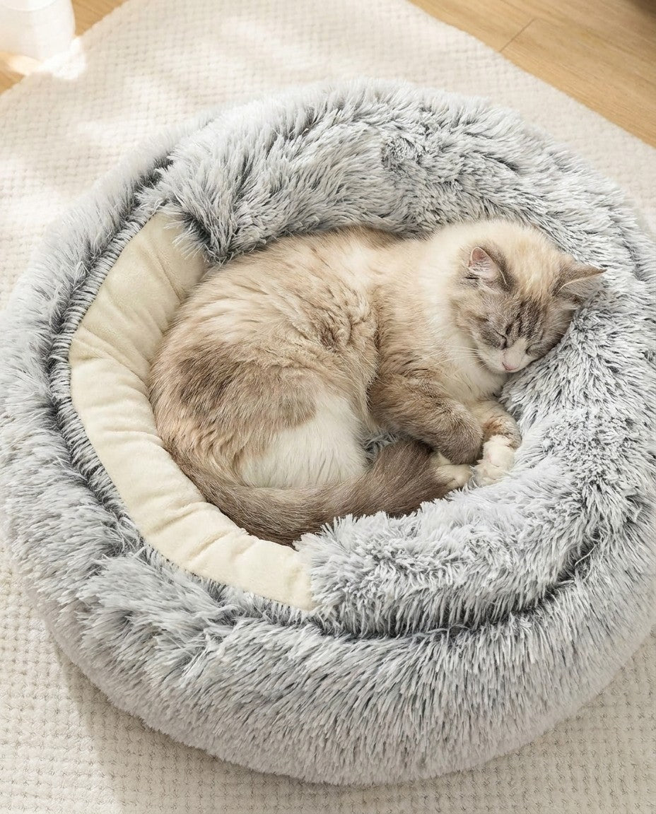 Mascota en cama
